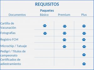 Requisitos-para-asegurar-mascota-mexico-Mapfre
